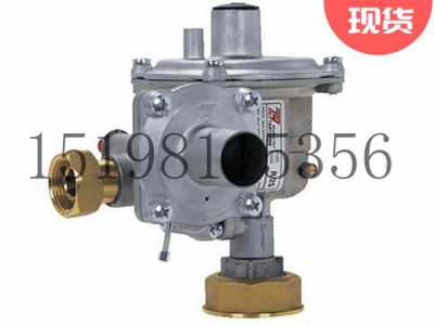 意大利Tartarini R/25型直接作用调压器弹簧负载型图3