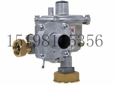 意大利Tartarini R/25型直接作用调压器弹簧负载型图5