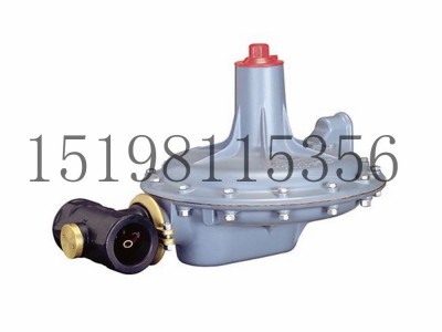 Tartarini A/100系列弹簧负载式减压型调压器图5