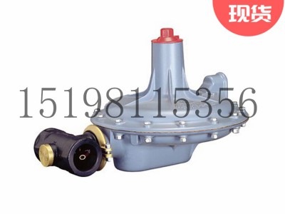 Tartarini A/100系列弹簧负载式减压型调压器图3