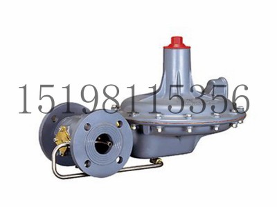 Tartarini A/140系列弹簧负载式减压型调压器图4