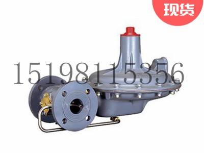 Tartarini A/140系列弹簧负载式减压型调压器图2