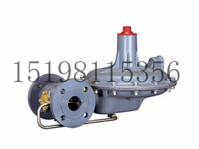 Tartarini A/140系列弹簧负载式减压型调压器图3