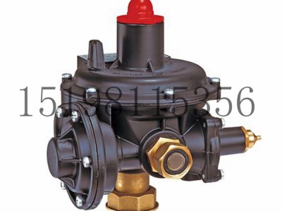 意大利Tartarini R系列双级弹簧负载式减压型调压器图2