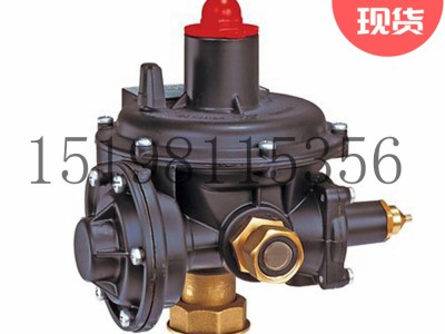 意大利Tartarini R系列双级弹簧负载式减压型调压器图3