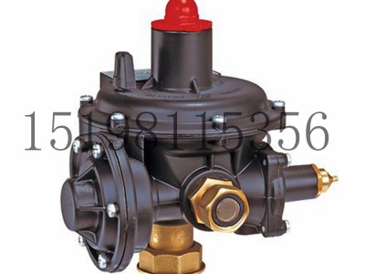 意大利Tartarini R系列双级弹簧负载式减压型调压器图4