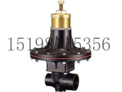 意大利Tartarini RP系列弹簧负载式减压型调压器图4