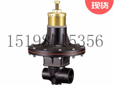 意大利Tartarini RP系列弹簧负载式减压型调压器图3