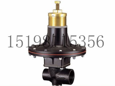 意大利Tartarini RP系列弹簧负载式减压型调压器图2