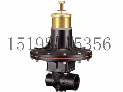 意大利Tartarini RP系列弹簧负载式减压型调压器图5