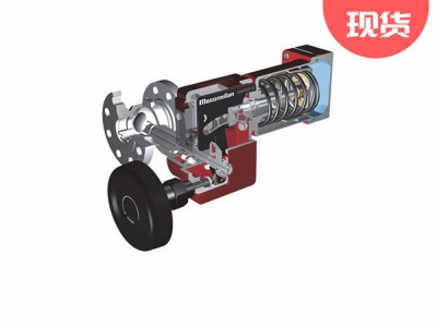 梅索尼兰35002系列旋转控制阀MASONEILAN图3