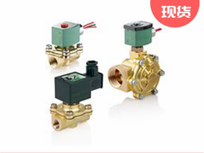 ASCO电磁阀WSNFB210D189V S313872图3