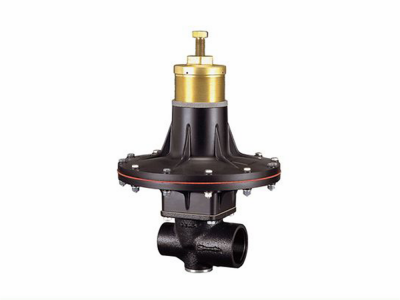 Tartarini塔塔里尼RP系列弹簧负载式减压型调压器图2