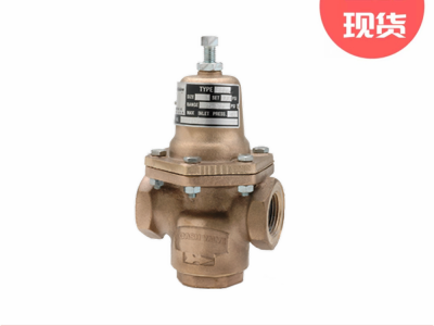 艾默生CASH调压器E-55系列大容量压力调节阀图3