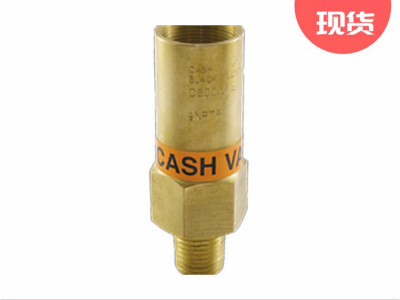 艾默生CASH调压器C600系列低温溢流阀图3