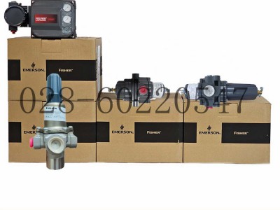 Fisher费希尔调压器67DFR-25过滤减压阀图2