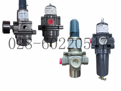 Fisher费希尔调压器67D-N202过滤减压阀图3