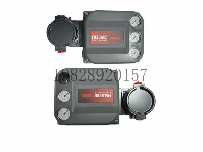 FF总线DVC6215-DVC6205分体式阀门定位器图2