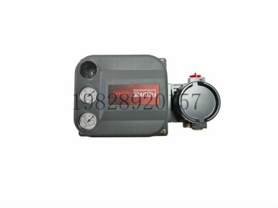 AD诊断DVC6200H-1B-2A-3A-4A-5A-6C图5