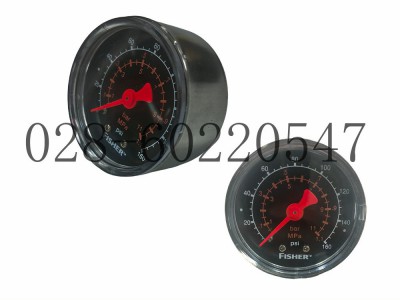 Fisher费希尔调压器67CFR-239过滤减压阀压力表图2