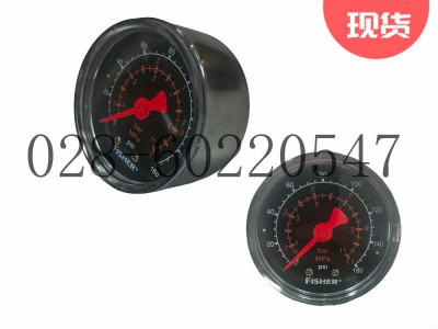 Fisher费希尔调压器67CFR-239过滤减压阀压力表图3