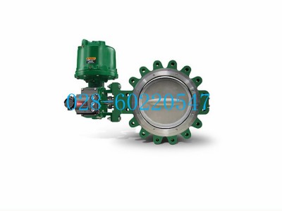 Fisher费希尔1061型气动执行机34B4646X052图2