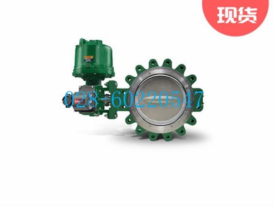 Fisher费希尔1061型气动执行机R1061X00402图3