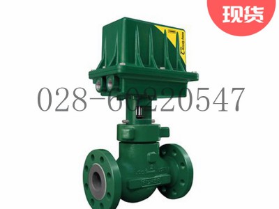 EMERSON艾默生Fisher费希尔D4 控制阀图3