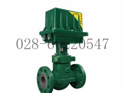 EMERSON艾默生Fisher费希尔D4 控制阀图4