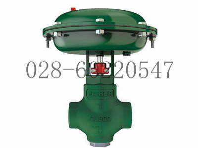 艾默生Fisher费希尔FloPro控制阀D2T图4