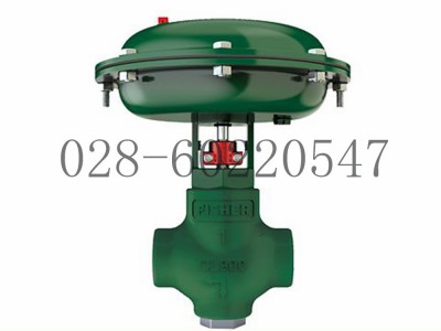 艾默生Fisher费希尔FloPro控制阀D2T图3