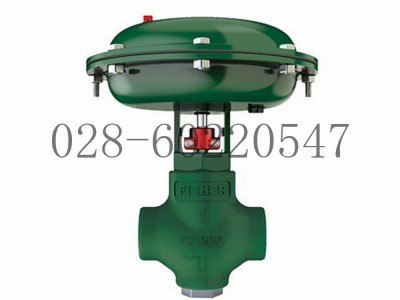 艾默生Fisher费希尔FloPro控制阀D2T图5