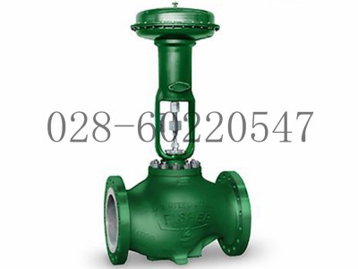 艾默生Fisher费希尔easy-e控制阀EW系列图4