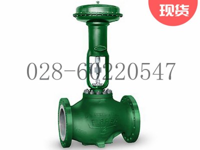 艾默生Fisher费希尔easy-e控制阀EW系列图3