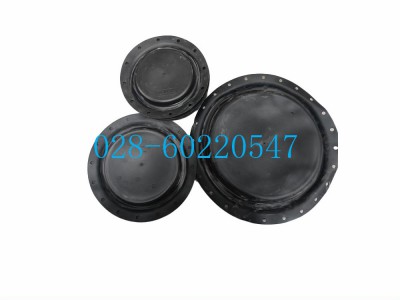 Fisher1051和1052型膜片2N130902202图5