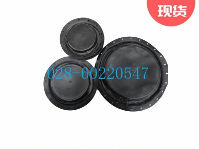 Fisher1051和1052型膜片2E8597X0032图3