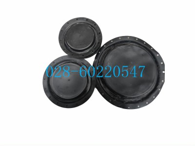 Fisher1051和1052型膜片2E6699X0042图4