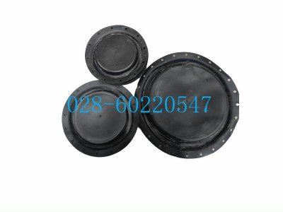 Fisher1051和1052型膜片2E6699X0042图2