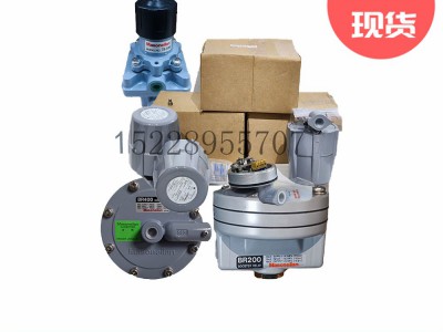 梅索尼兰496-255电动旋转开关MASONEILAN图4