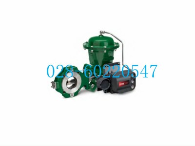 Fisher2052型执行机构锁定装置GE51941X012图2