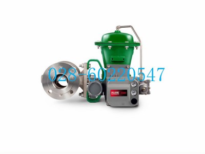 Fisher2052型执行机构锁定装置GE52968X022图5