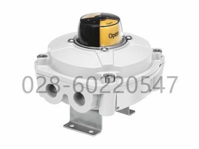 Festo费斯托限位开关盒SRBE图2