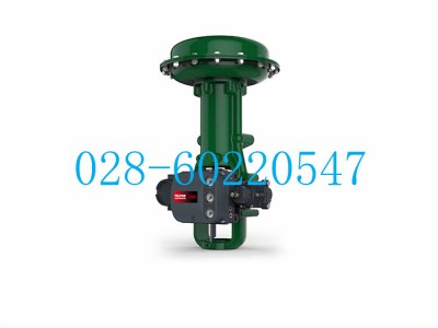 Fisher657和667型O型圈1D547106992图4