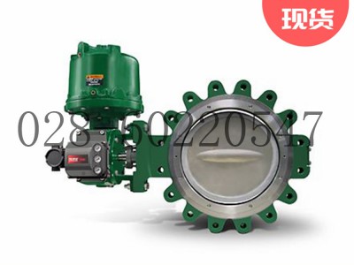 Fisher费希尔8532高性能蝶阀用于低温法兰式图2