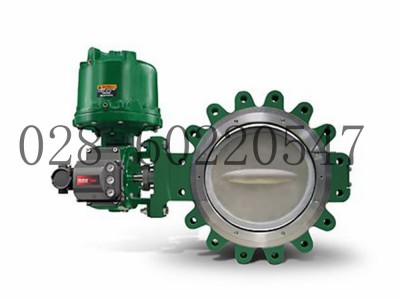 Fisher费希尔8532高性能蝶阀用于低温法兰式图5