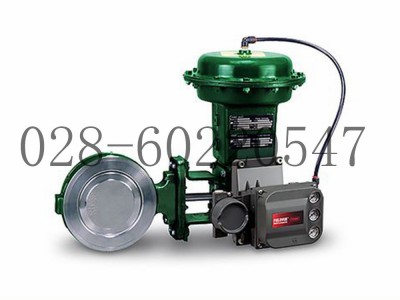 艾默生Fisher费希尔8560高性能蝶阀控制阀图2