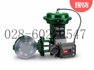 艾默生Fisher费希尔8560高性能蝶阀控制阀图3