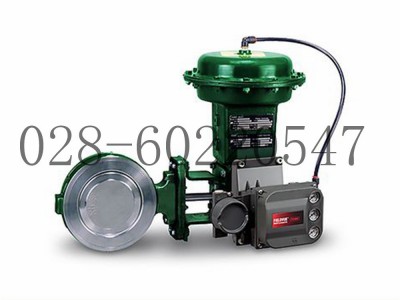 艾默生Fisher费希尔8560高性能蝶阀控制阀图5