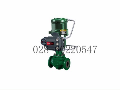 Fisher585C活塞执行机构O型圈R585CX00052图2