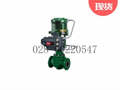 Fisher585C活塞执行机构O型圈R585CX00072图3